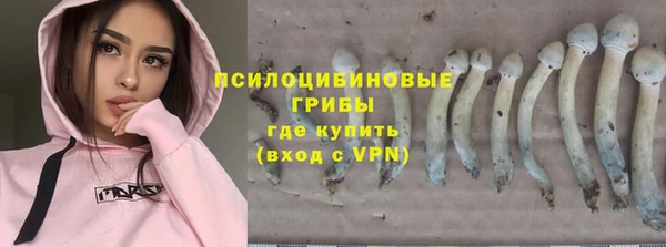 дживик Абинск