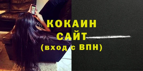 дживик Абинск