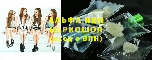 индика Семёнов