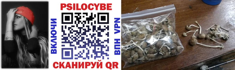 Псилоцибиновые грибы Magic Shrooms  Кировград 